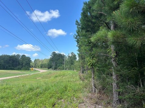 13.2 Acres in Summit, MS