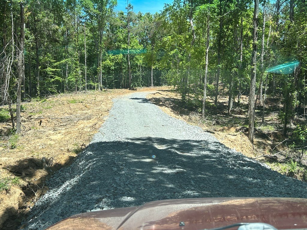Picture 3