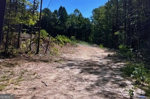 Land, Rockmart, GA