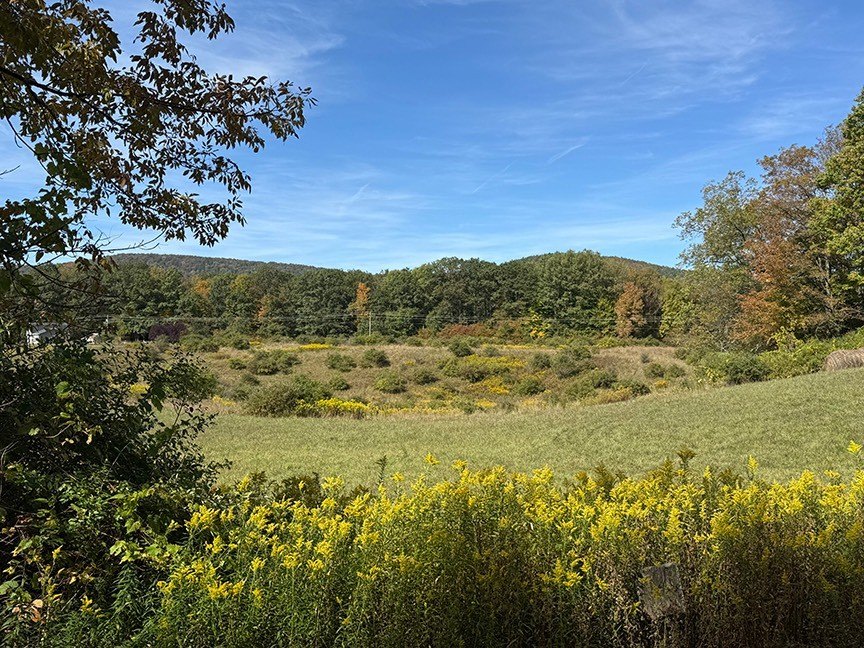 Cooperstown Vacant Land For Sale
