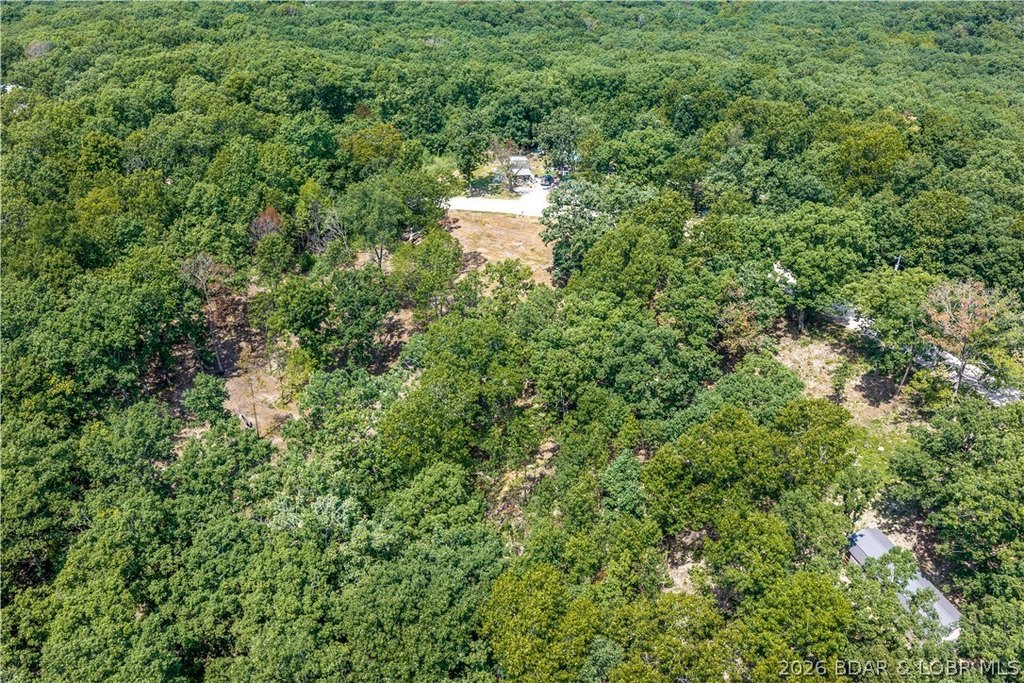 Picture 71