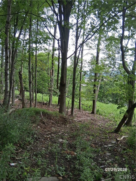 Picture 4