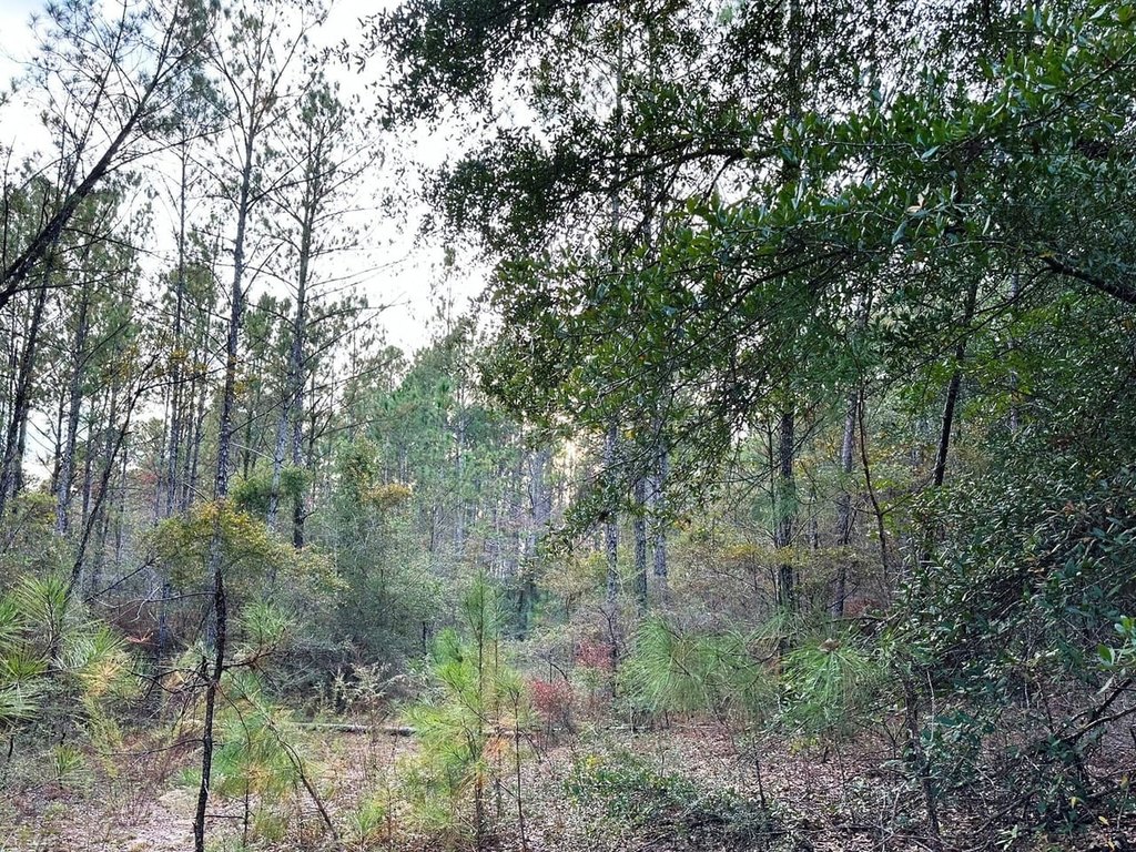Picture 3