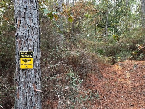 Recreational Hunting Land Tract