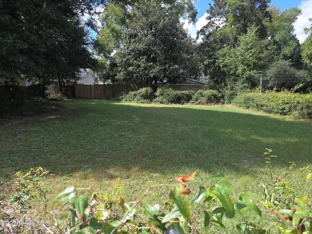 Picture 7