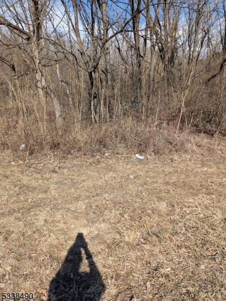 Picture 5