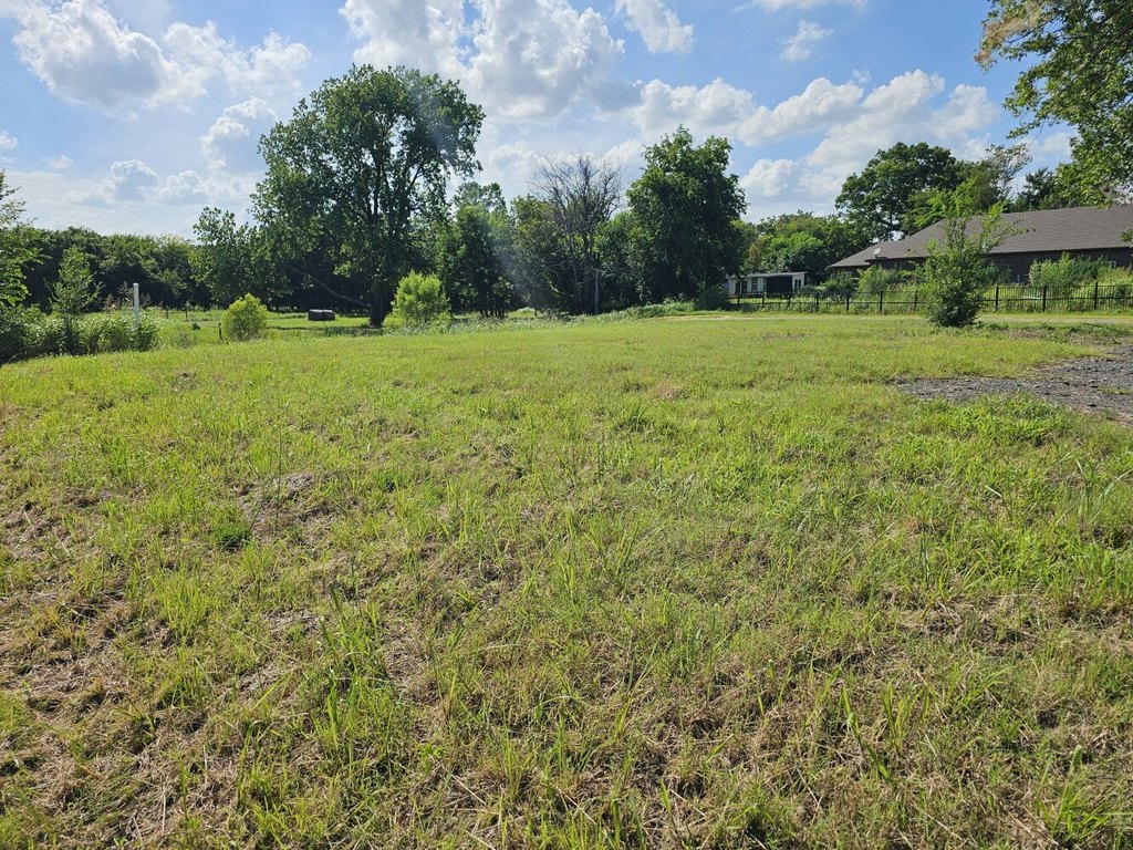 Picture 20