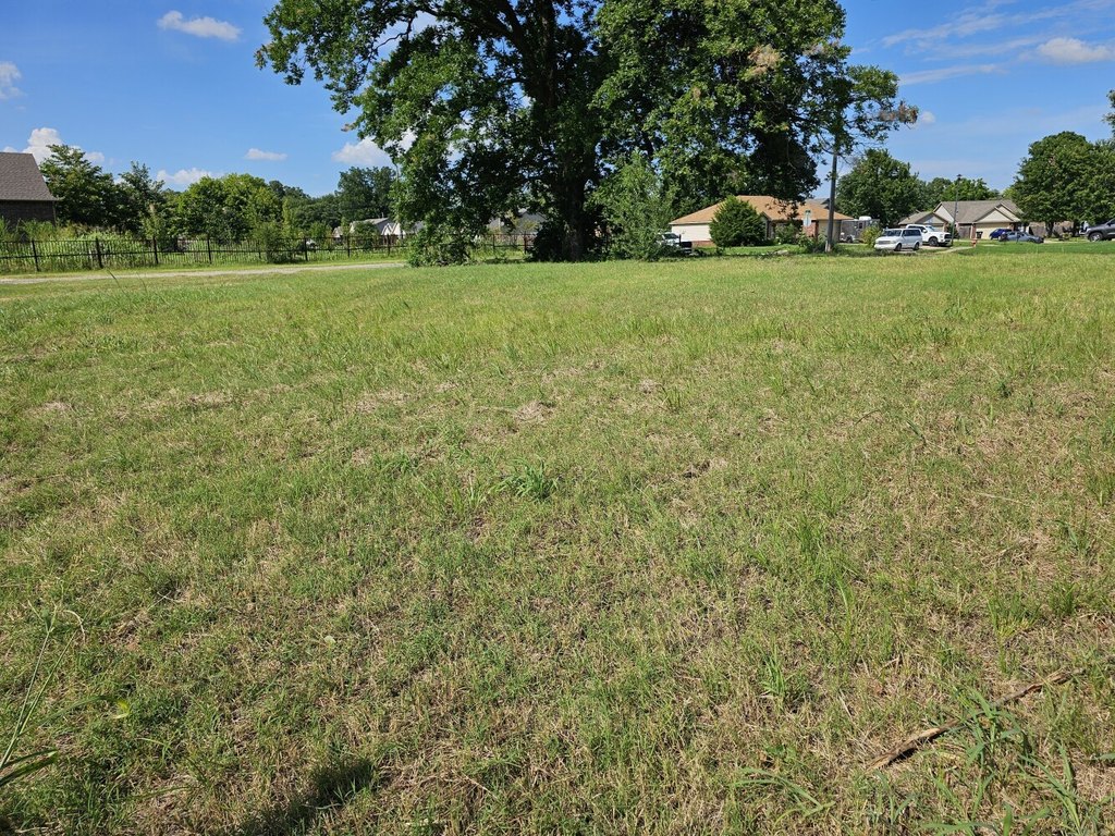 Picture 13