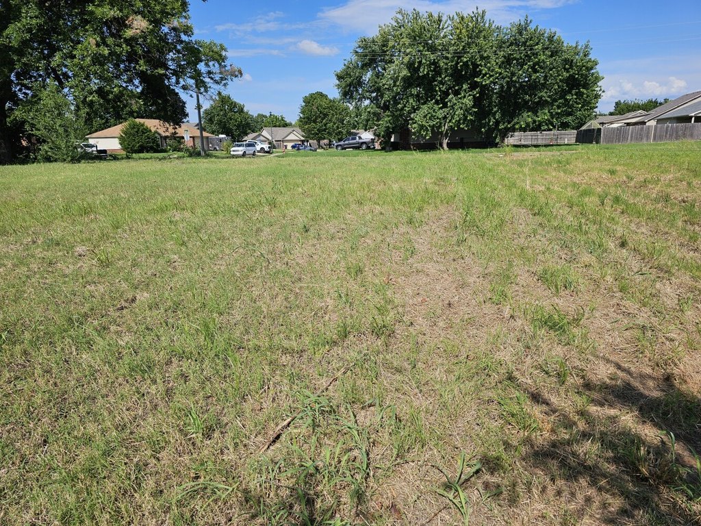 Picture 15