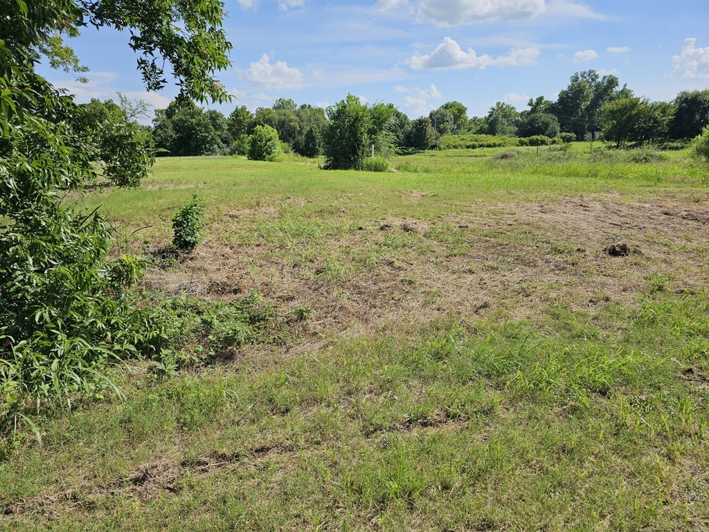 Picture 4