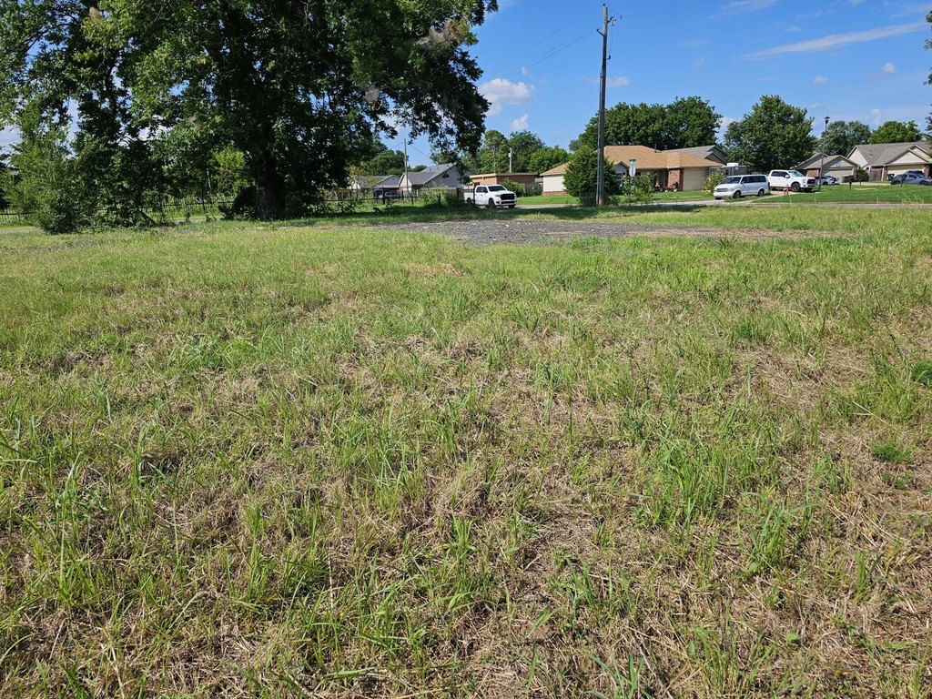 Picture 19
