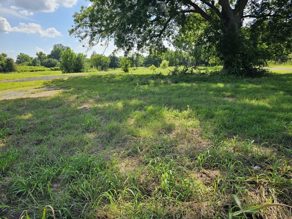 Picture 28