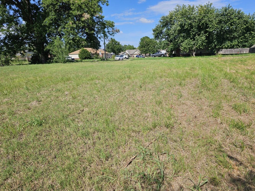 Picture 14