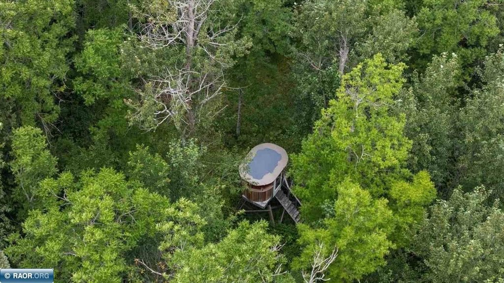 Picture 11