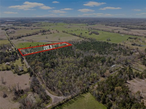 Serene Wooded Land Parcel
