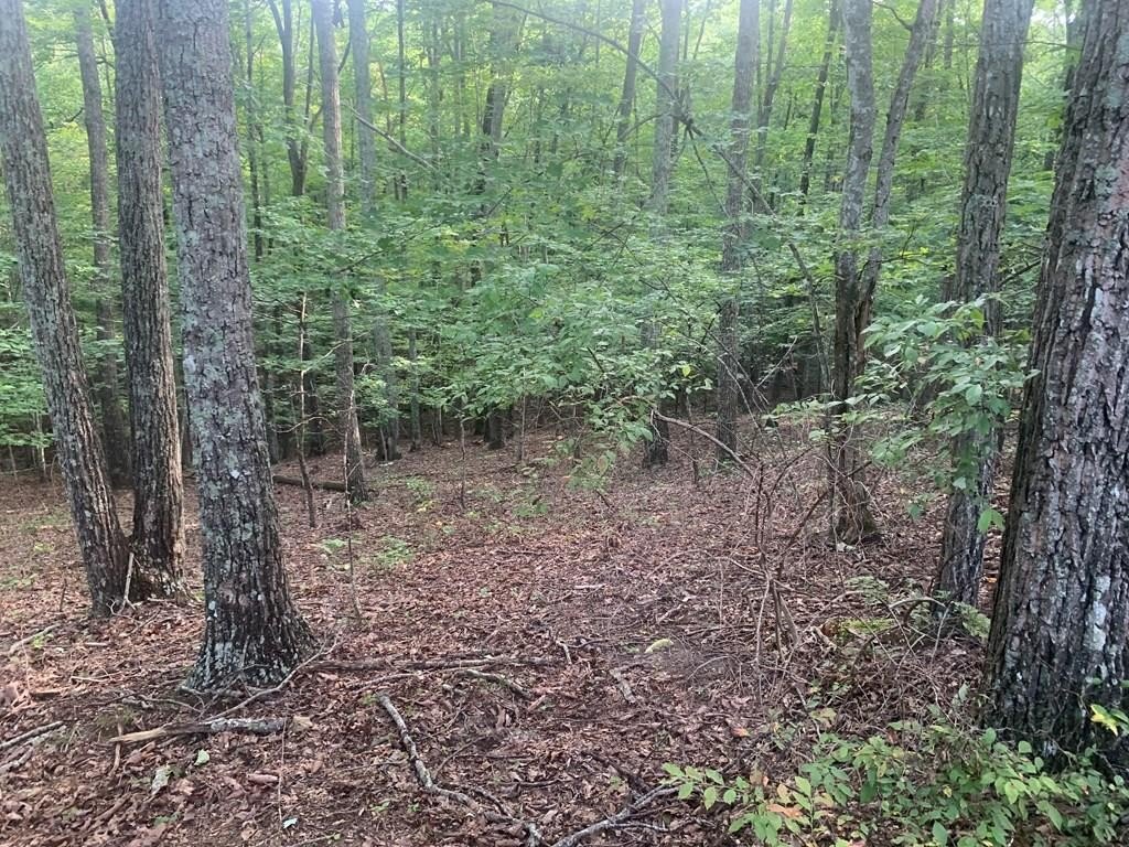 Land in Spencer, Tennessee