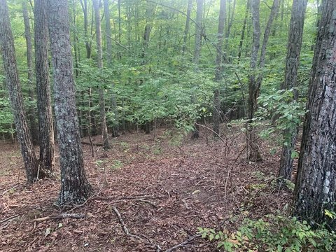 Land in Spencer, Tennessee