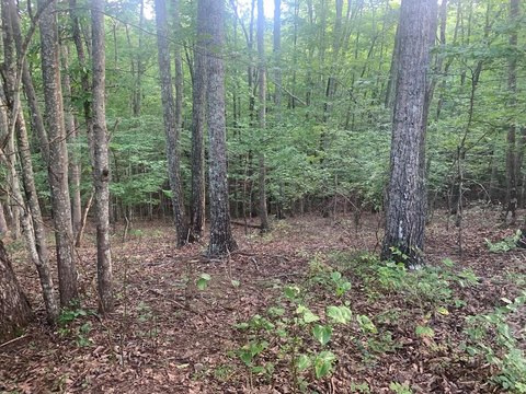 Land in Spencer, Tennessee