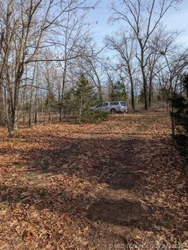 Land Near Lake Tenkiller