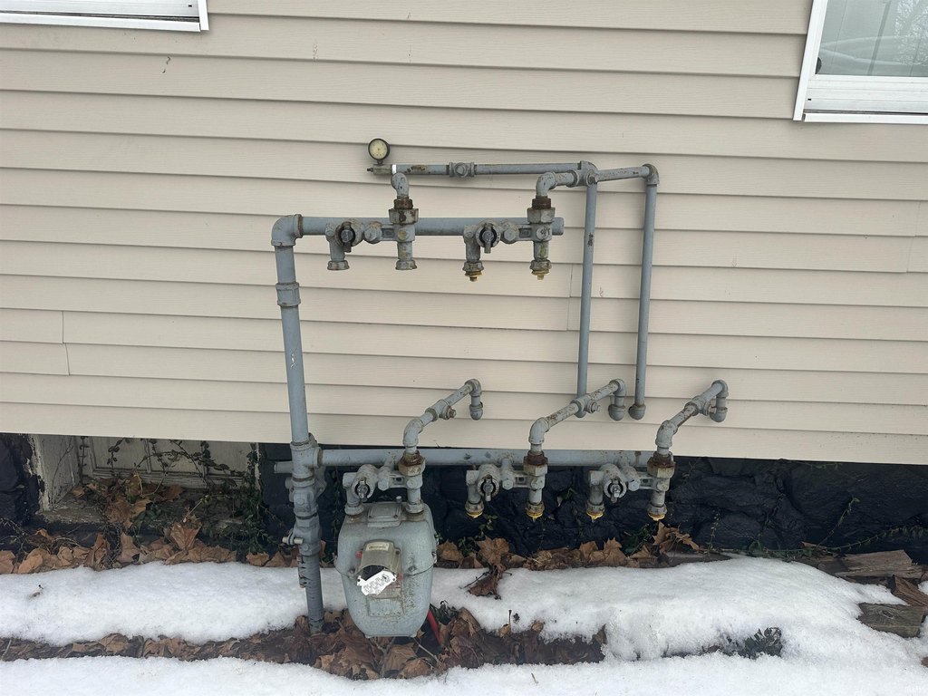 Picture 8