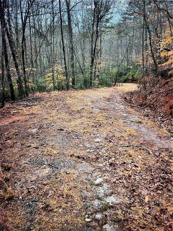 Wooded Lot Near Downtown Cleveland