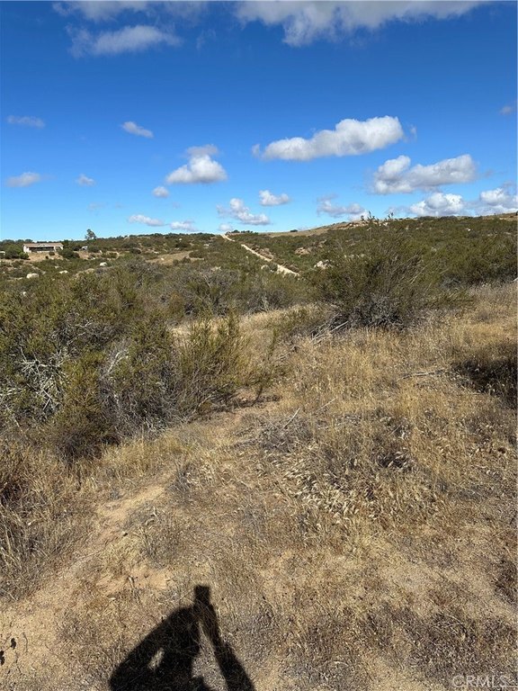 Picture 18