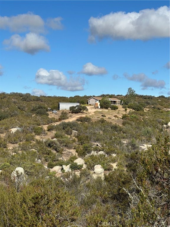 Picture 3