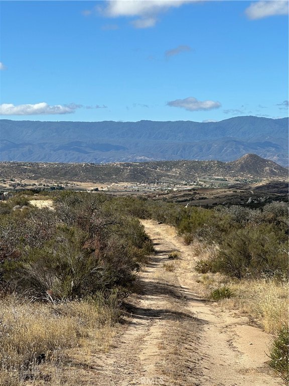 Picture 8