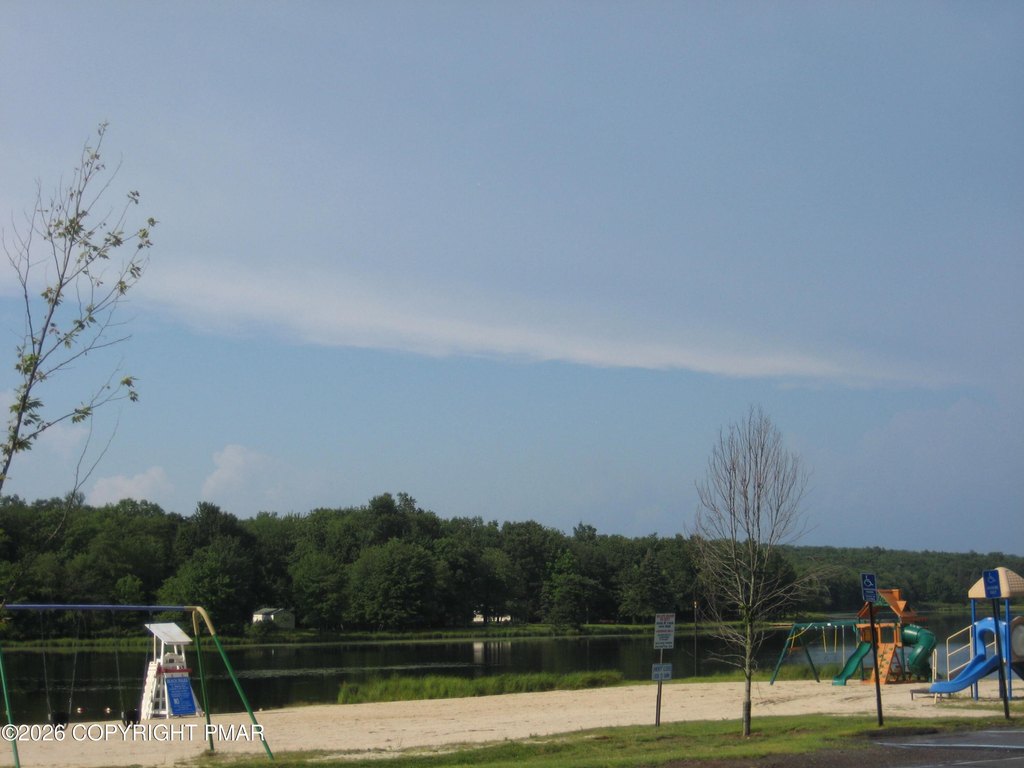 Picture 7