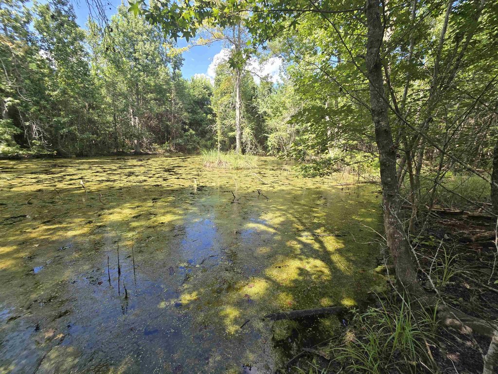 Picture 25
