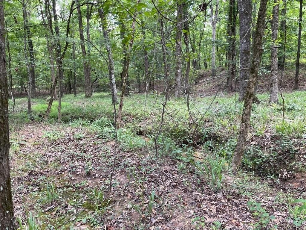 Picture 3