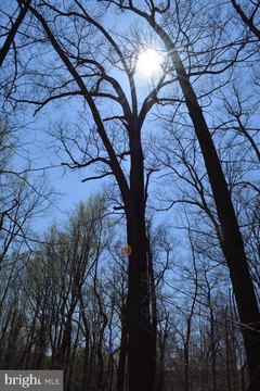 43 Acres of Unencumbered Land