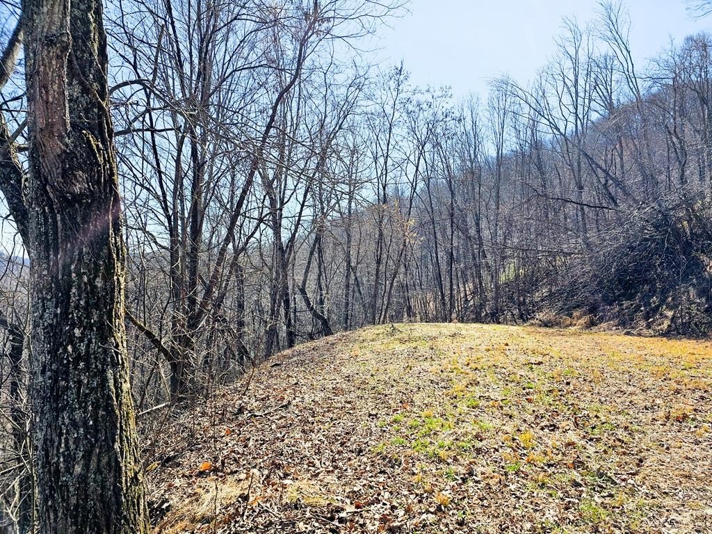 Picture 2