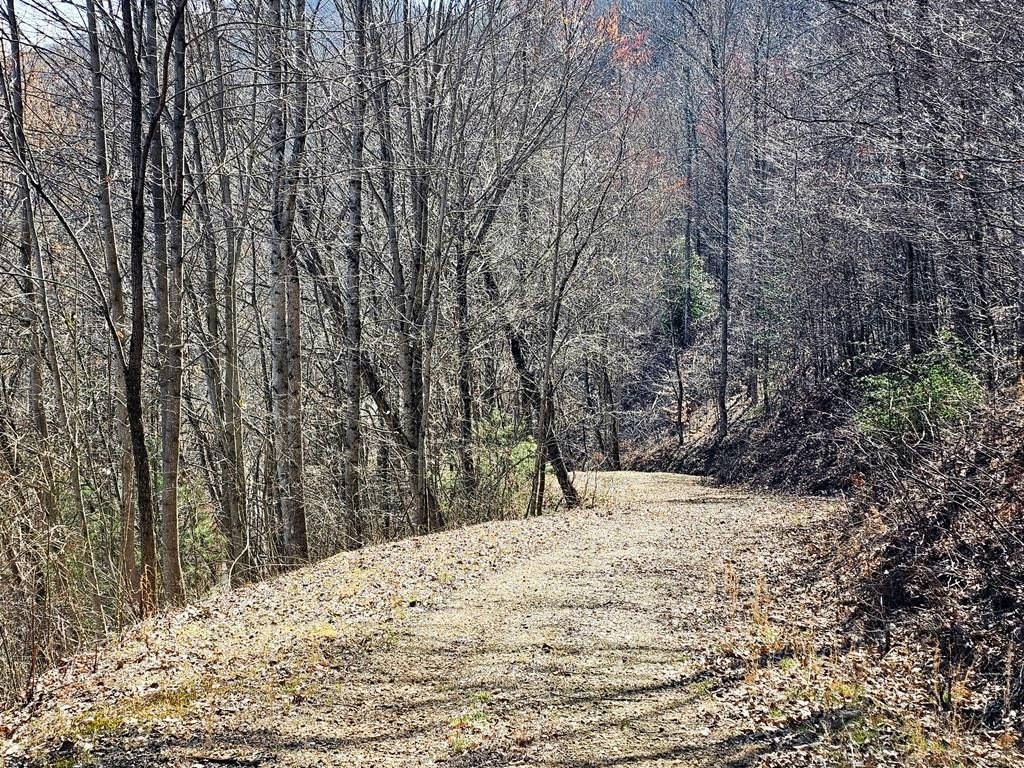 Picture 8