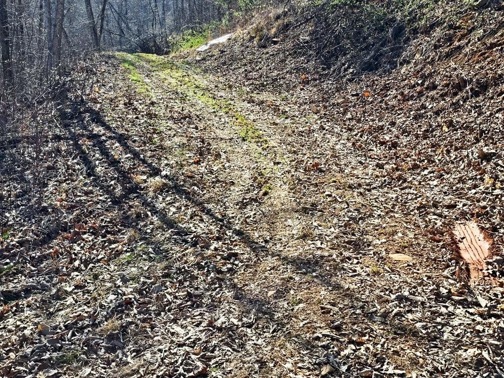 Picture 18