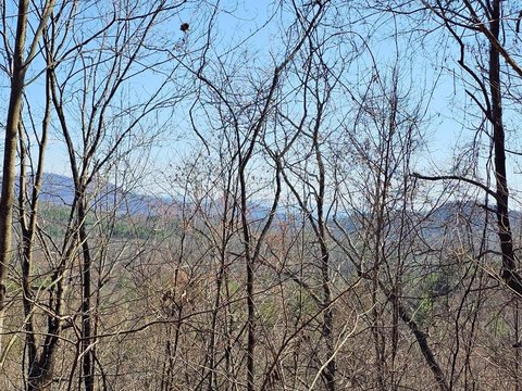 Land with Mountain View
