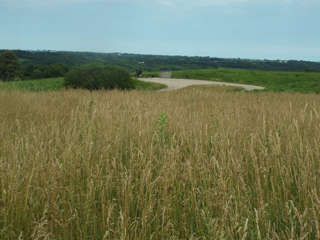 Picture 5