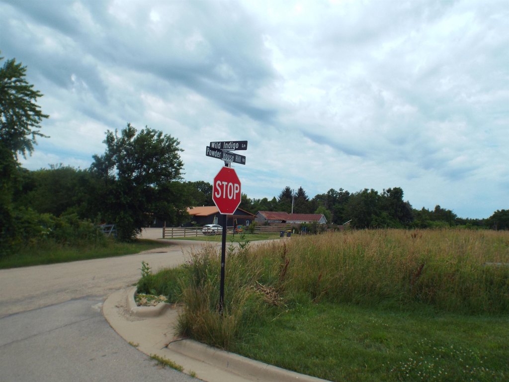Picture 16
