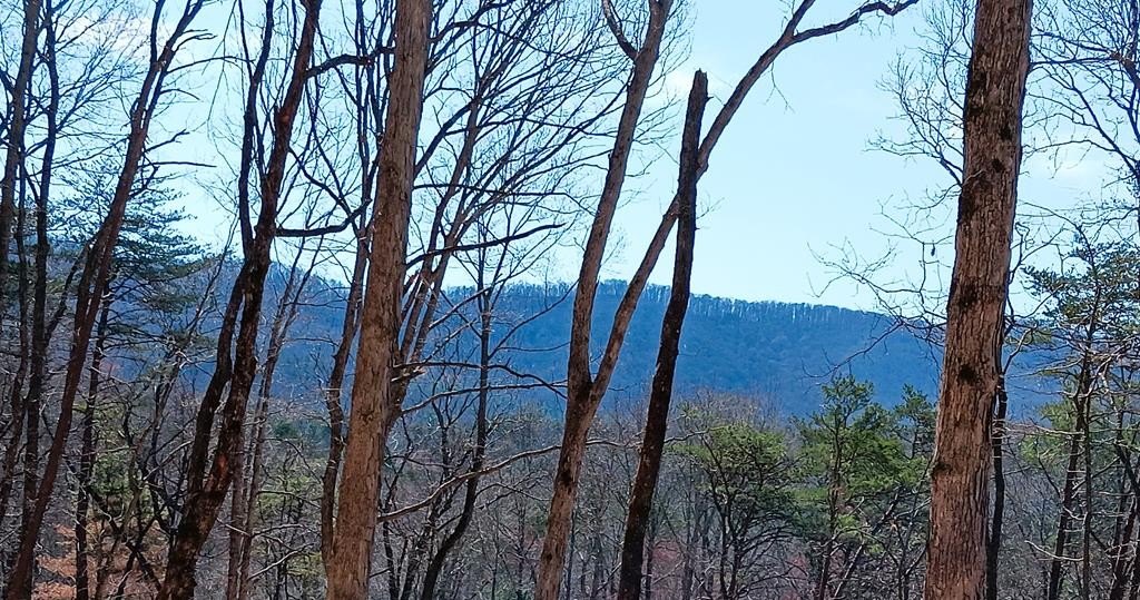 Blue Ridge Mountain View Lot
