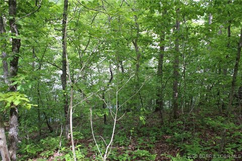 Lakefront Lot in Gravois Mills