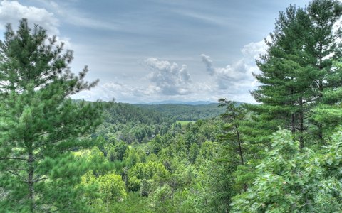 Wooded Mountain Homesite Land