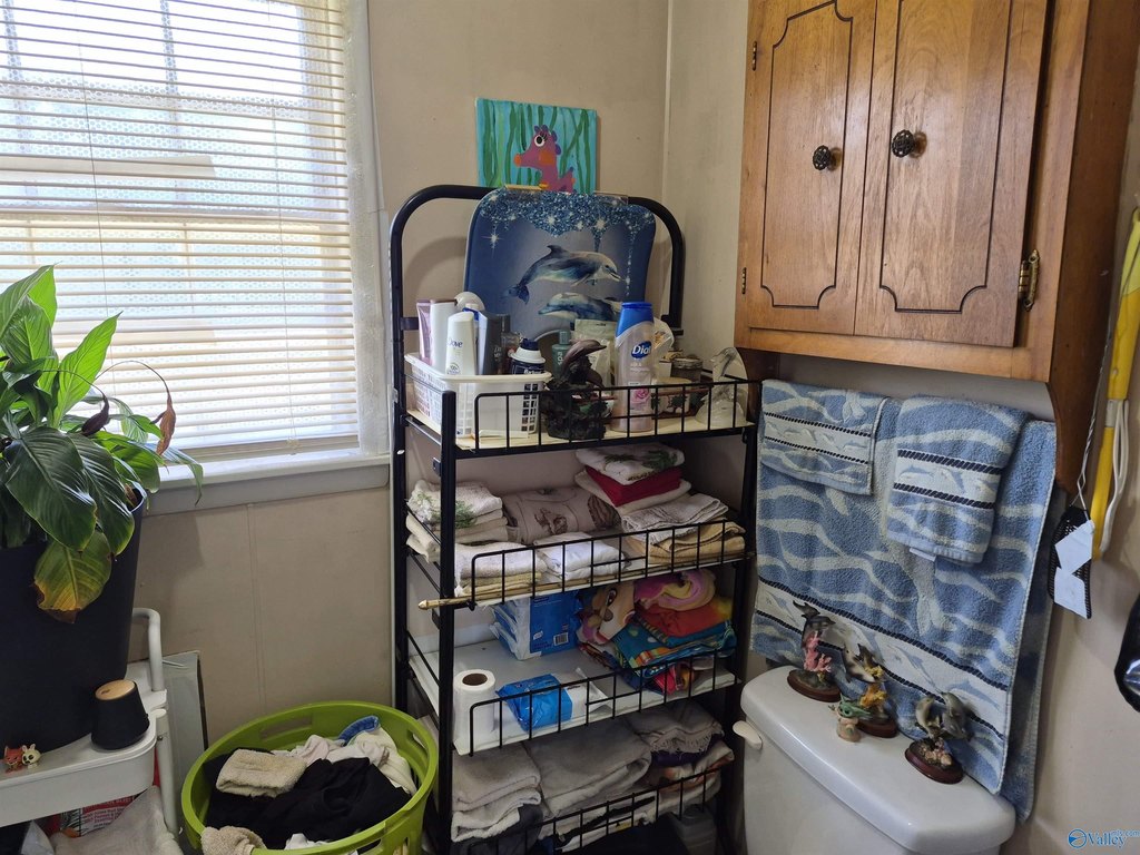 Picture 11