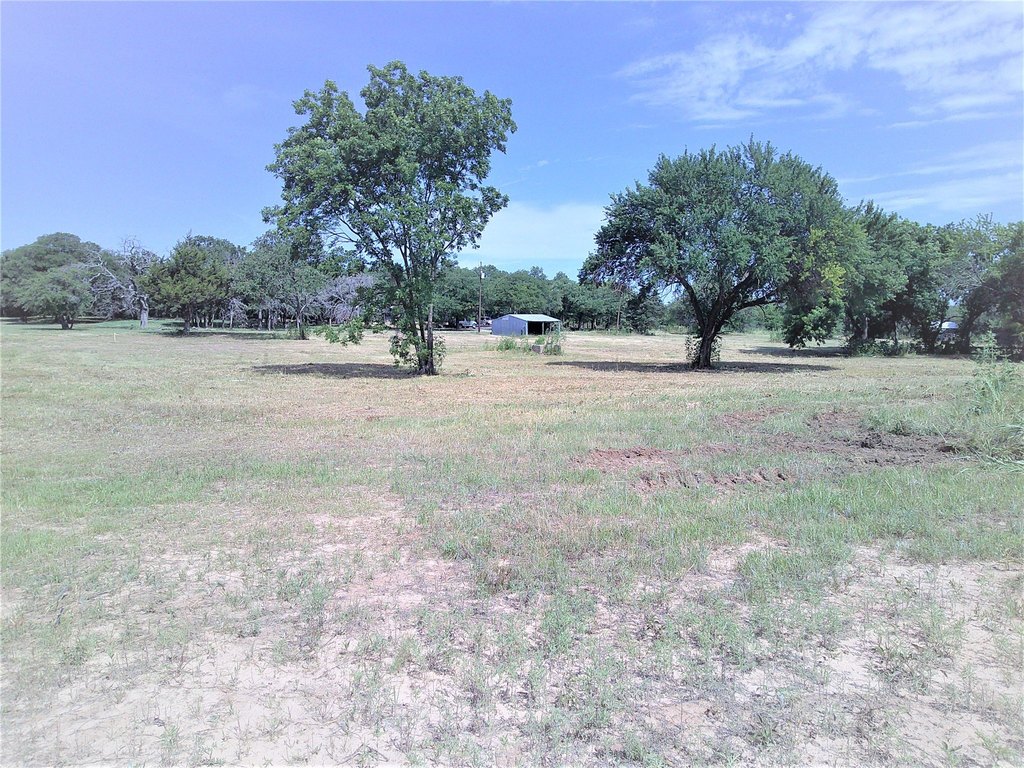 Picture 3