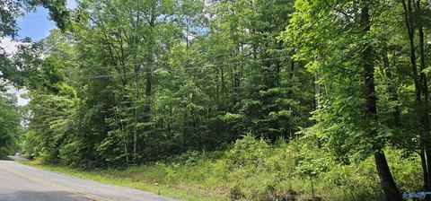 Unrestricted Wooded Acres in Mentone