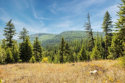 Recreational Land with Lake