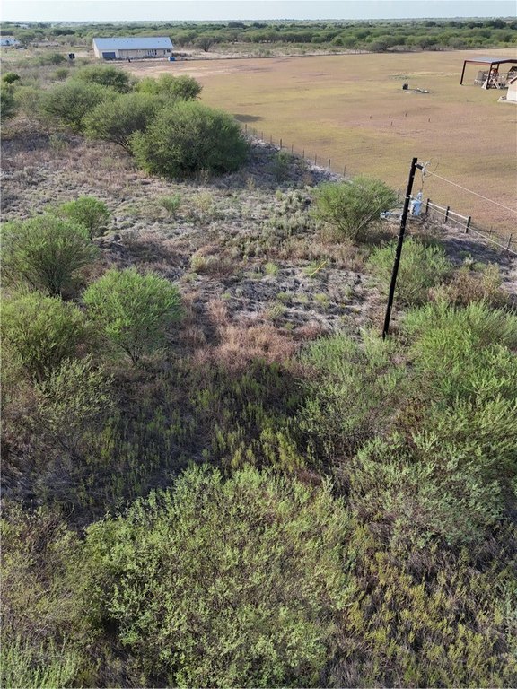 Picture 11