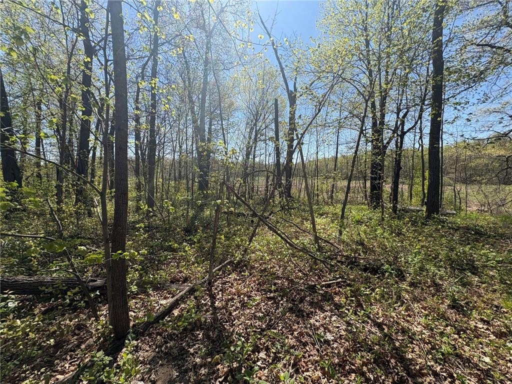 Picture 16