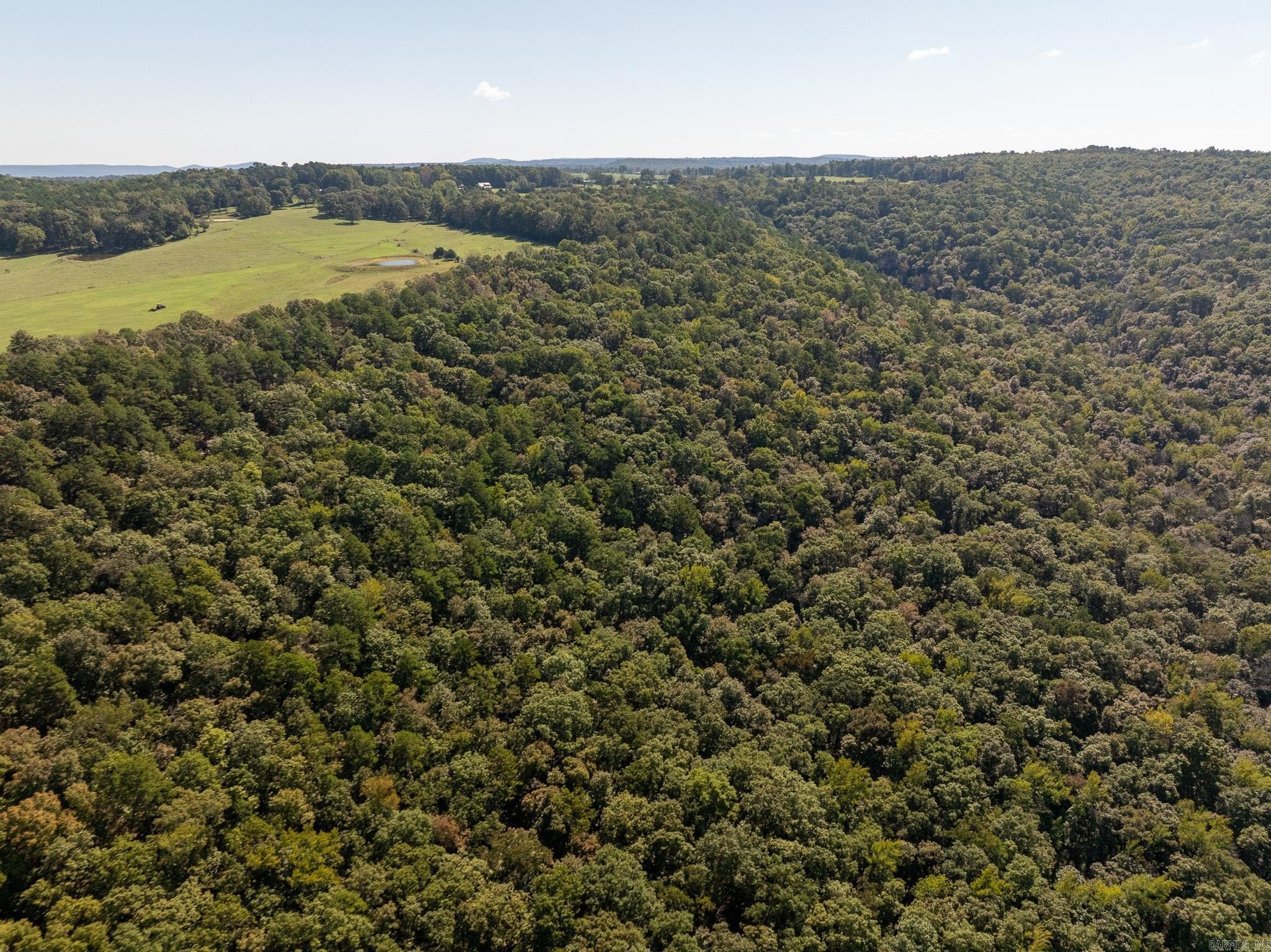 Ozark Hunting Land Opportunity