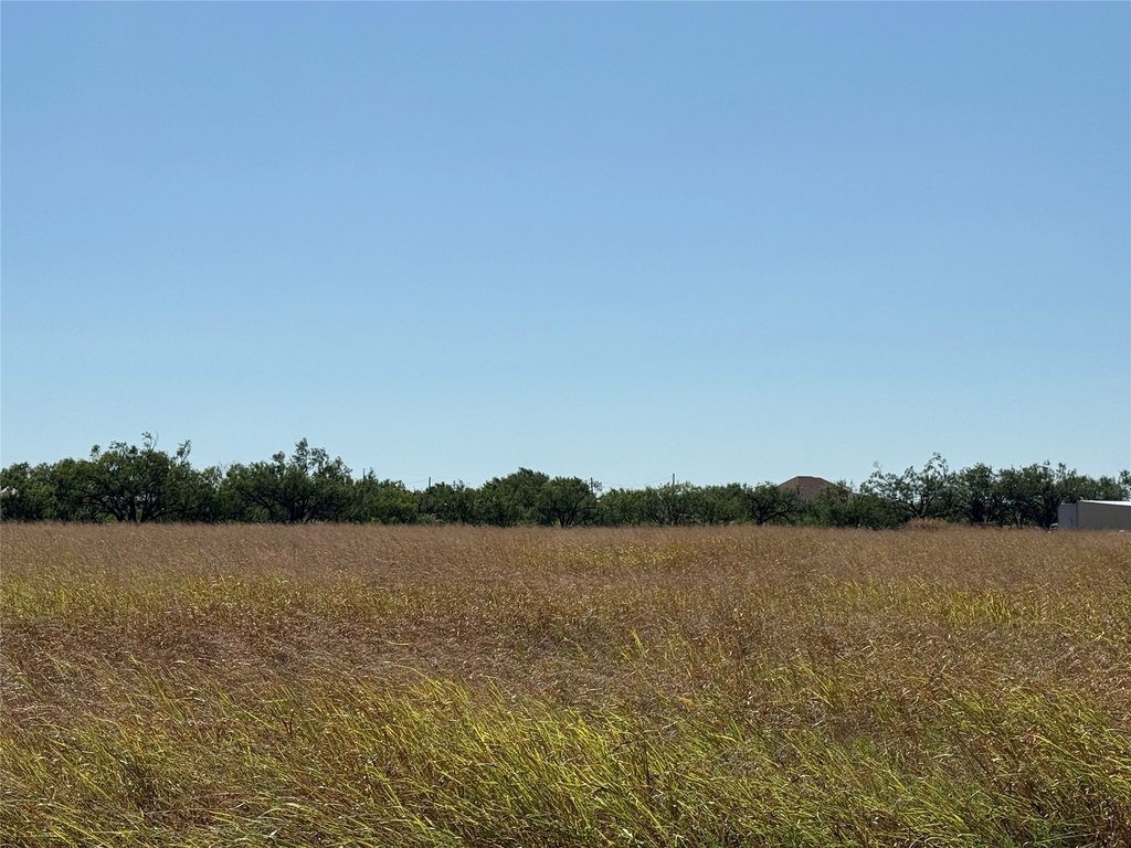 Picture 22