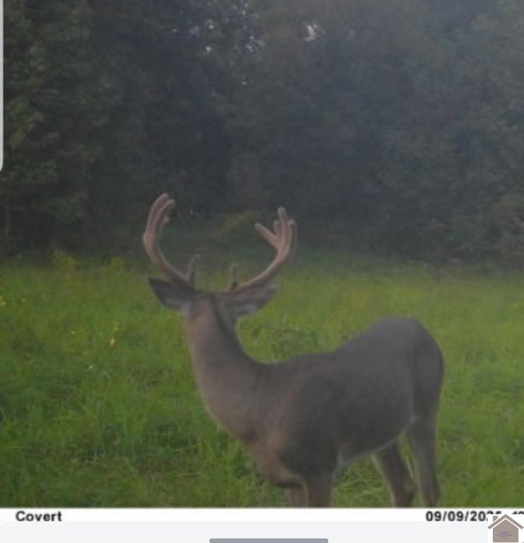 Picture 18